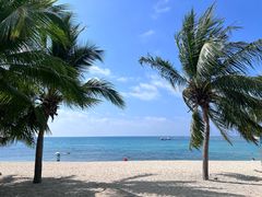 -半山半岛洲际度假酒店·观海廊