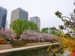 -海棠花溪(元大都城垣遗址公园)