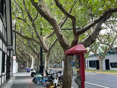 -一尺花园(安和花园店)