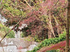 -乌山风景区