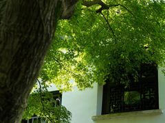 -惠山古镇·寄畅园