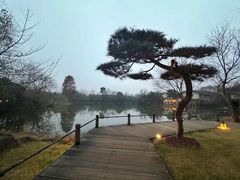 -新荣记(西溪湿地店)