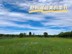 -野鸭湖国家湿地公园