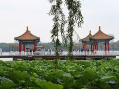 -长春市南湖公园