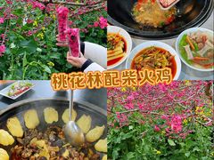 -桃源山庄·水蜜桃采摘·柴火鸡·烧烤团建(龙泉山店)