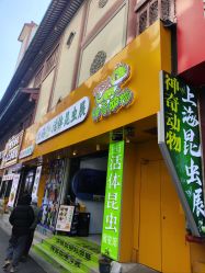 -神奇动物撸宠馆·羊驼·小浣熊·异宠(豫园店)