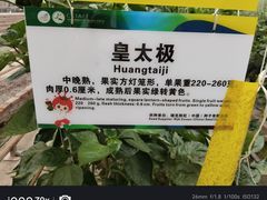 -长春农业博览园