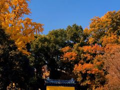 -鸡鸣寺