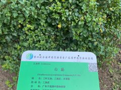 -广东中医药博物馆