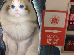-猫腻·猫咖·撸猫馆(星光大道店)