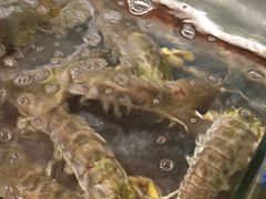 -辉记炭烧海鲜大排档·老字号(福田店)