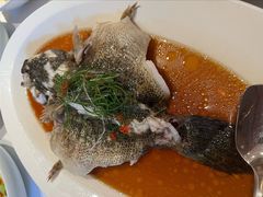 清蒸竹笋壳鱼-玫瑰厅上海菜(兴国路店)