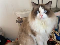 -宠福鑫康馨动物医院·骨科·眼科