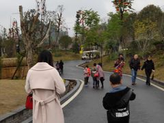 -枫香湖儿童公园