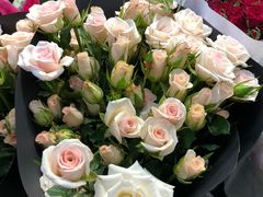 -双季花艺园艺市场(浦东店)