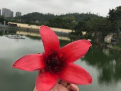 -珠海圆明新园