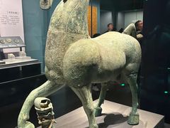 -广西壮族自治区博物馆