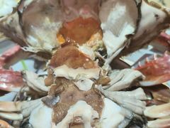-渔民船说·北塘海鲜·天津菜·海肠捞饭(北塘古镇店)
