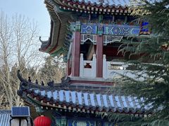 -龙口南山旅游景区