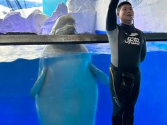 -秦皇岛乐岛海洋王国