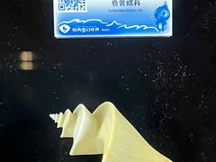 -贝壳梦幻世界