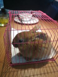 -萌宠亲子动物乐园(槐房万达店)