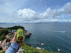-杨梅坑