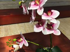 -奈雪的茶(花城汇中区PRO店)