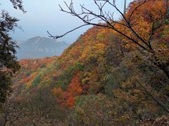 -云蒙山风景区