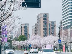 -新天地活力PARK