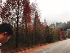 -井冈山风景名胜区