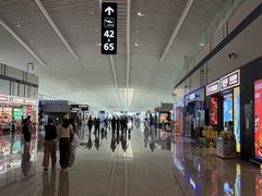 -青岛胶东国际机场