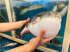 -天正河鲀·河豚亭(大连店)