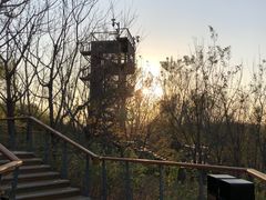 -东郊湿地公园