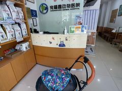 -宠福鑫动物医院(望京分院)