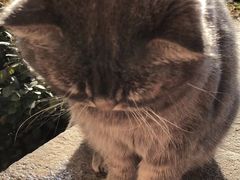 -上海市中医医院(芷江路院区)