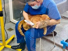 -宠福鑫康馨动物医院·骨科·眼科