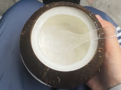 -椰爺爺·椰子冻砵仔糕