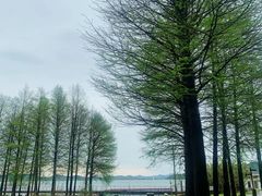 -东钱湖旅游度假区