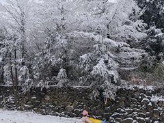 -四明山国家森林公园