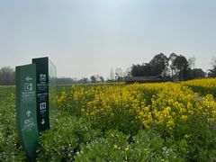 -桤木河湿地公园