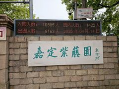 -嘉定紫藤园