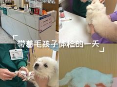 -瑞派康怡24h宠物医院·犬猫医疗中心·微创绝育(瑞景分院)