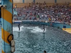 -秦皇岛乐岛海洋王国