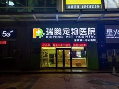 -瑞鹏宠物医院·骨科·猫科·内科(第一中心)