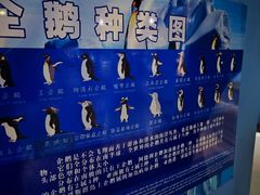 -泉城欧乐堡海洋极地世界
