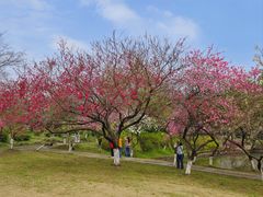 -采石矶景区