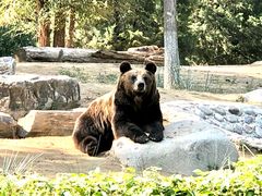 -北京野生动物园