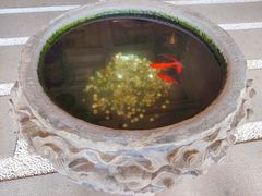 -南亚水鑫温泉SPA(恒宇商业广场店)