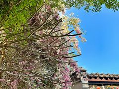 -深圳国际园林花卉博览园